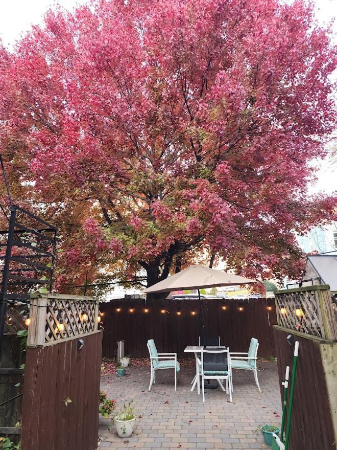 Magnolia Stay Near New York City Jersey City Exteriör bild