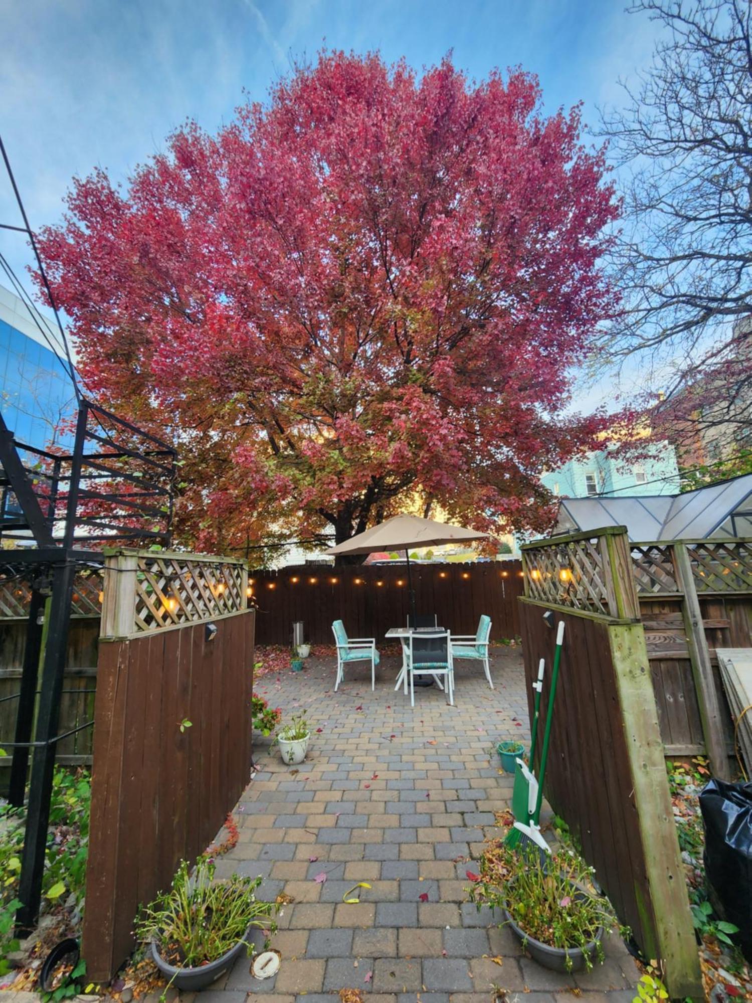 Magnolia Stay Near New York City Jersey City Exteriör bild
